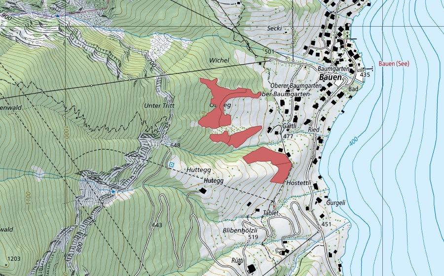swisstopo national map showing the protected perimeter of Gartli (Dry meadow)