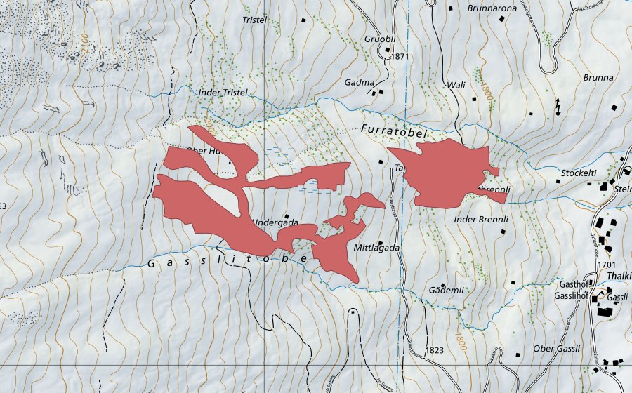 swisstopo national map showing the protected perimeter of Gasslitobel (Dry meadow)