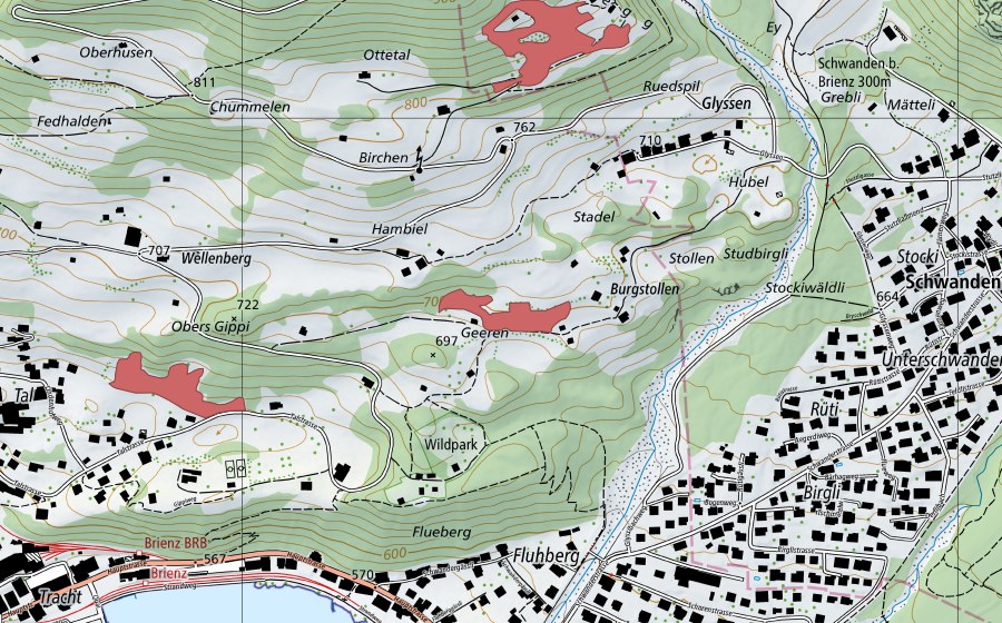 swisstopo national map showing the protected perimeter of Geeren (Dry meadow)