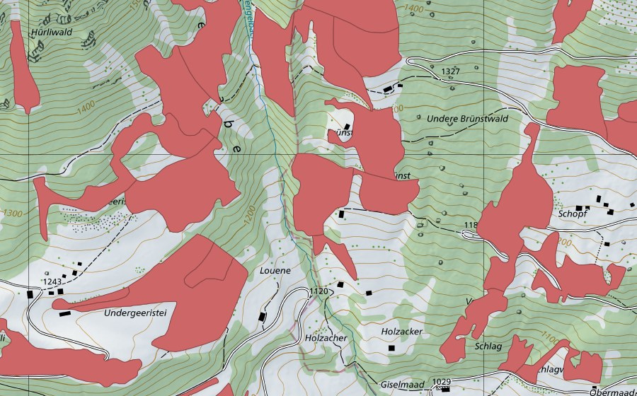 swisstopo national map showing the protected perimeter of Geeristei (Dry meadow)