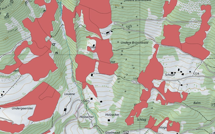 Landeskarte swisstopo mit dem Schutzperimeter von Geeristei (Trockenwiese)