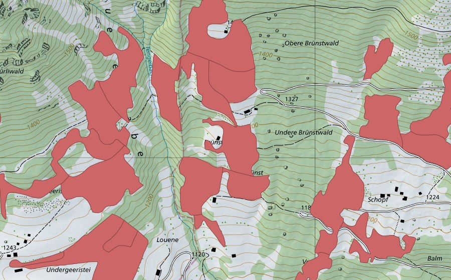 swisstopo national map showing the protected perimeter of Geeristei (Dry meadow)