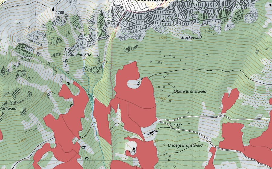 swisstopo national map showing the protected perimeter of Geeristei (Dry meadow)