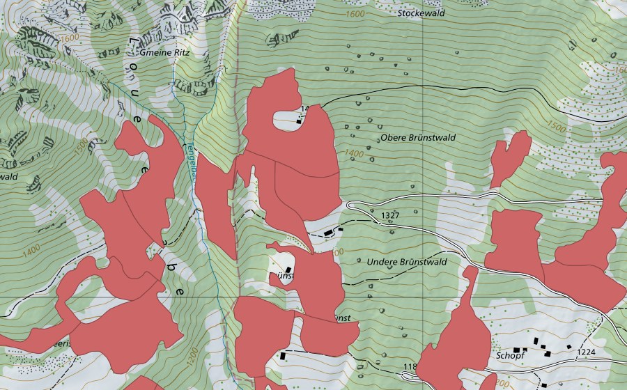 swisstopo national map showing the protected perimeter of Geeristei (Dry meadow)