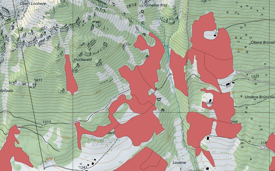 Landeskarte swisstopo mit dem Schutzperimeter von Geeristei (Trockenwiese)
