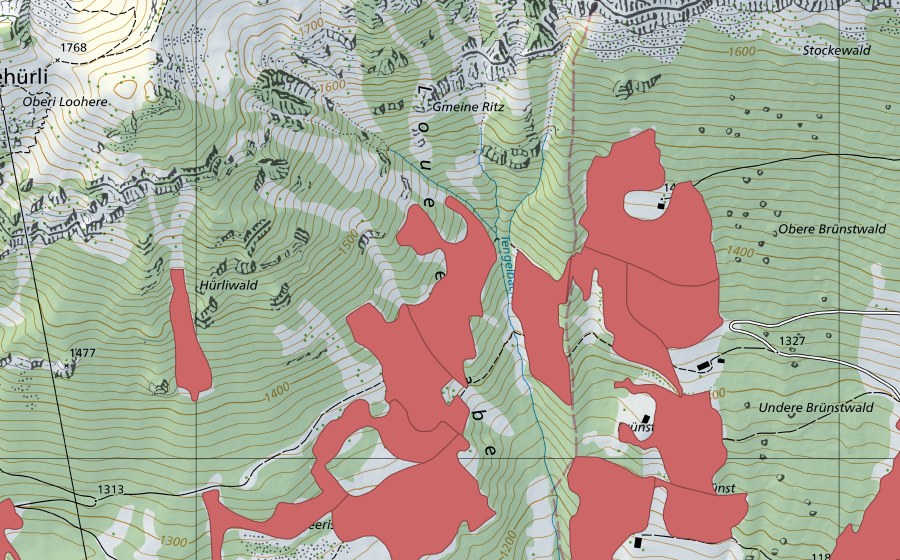 Landeskarte swisstopo mit dem Schutzperimeter von Geeristei (Trockenwiese)