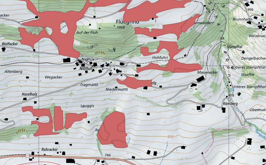 Carte nationale swisstopo avec le périmètre protégé de Geeristei (Prairie sèche)
