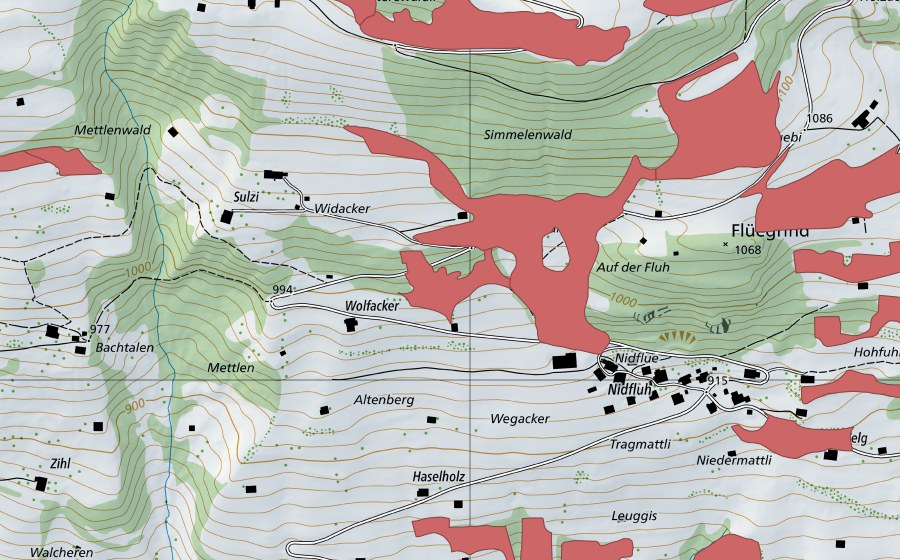 Carte nationale swisstopo avec le périmètre protégé de Geeristei (Prairie sèche)