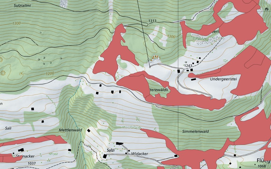 Landeskarte swisstopo mit dem Schutzperimeter von Geeristei (Trockenwiese)