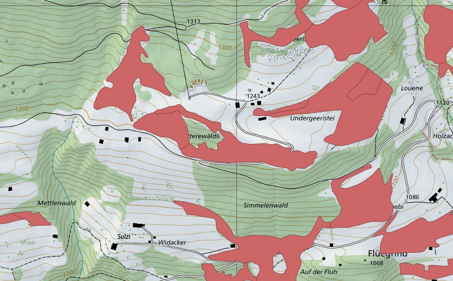swisstopo national map showing the protected perimeter of Geeristei (Dry meadow)