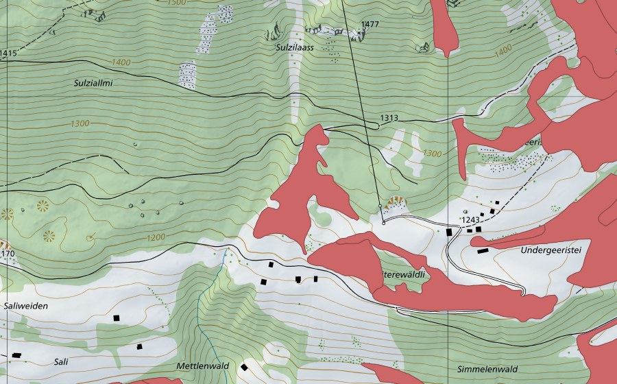 swisstopo national map showing the protected perimeter of Geeristei (Dry meadow)