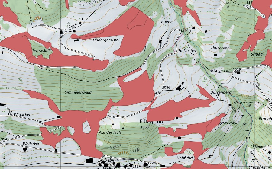 Landeskarte swisstopo mit dem Schutzperimeter von Geeristei (Trockenwiese)