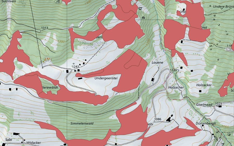 Landeskarte swisstopo mit dem Schutzperimeter von Geeristei (Trockenwiese)