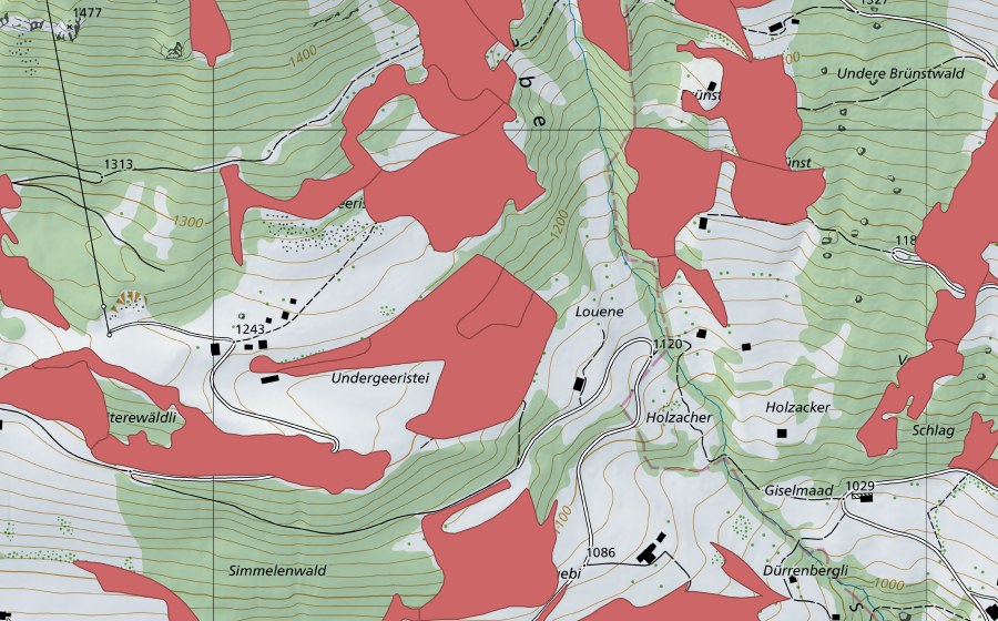 swisstopo national map showing the protected perimeter of Geeristei (Dry meadow)