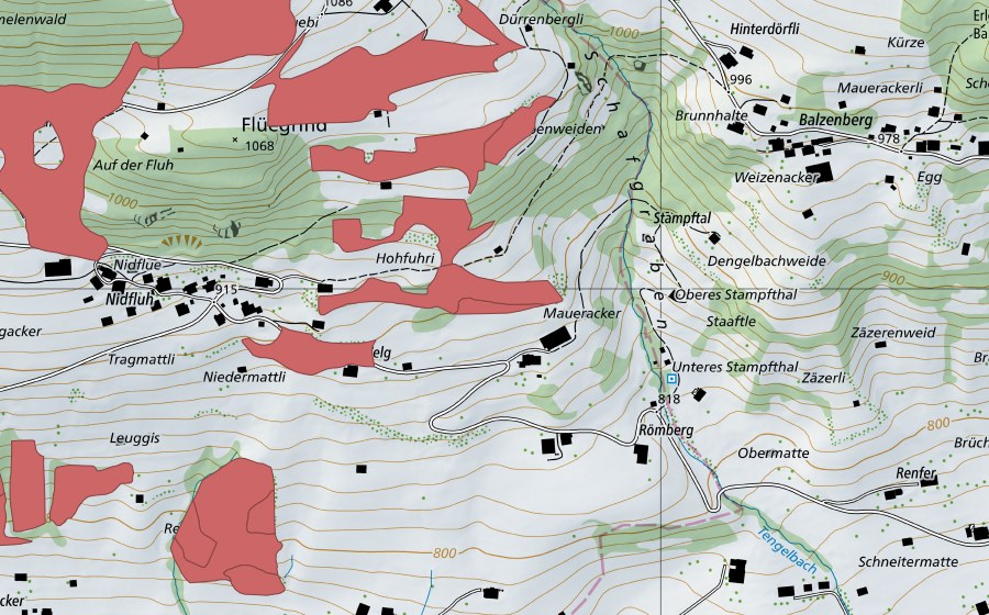 swisstopo national map showing the protected perimeter of Geeristei (Dry meadow)