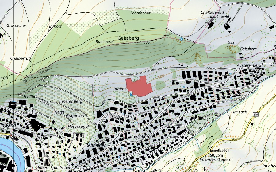 Landeskarte swisstopo mit dem Schutzperimeter von Geissberg (Trockenwiese)