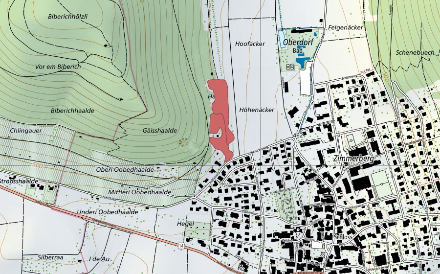 swisstopo national map showing the protected perimeter of Geisshalde (Dry meadow)