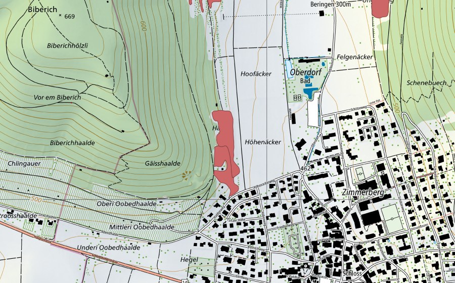 swisstopo national map showing the protected perimeter of Geisshalde (Dry meadow)
