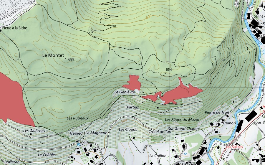Carte nationale swisstopo avec le périmètre protégé de Genièvre (Prairie sèche)