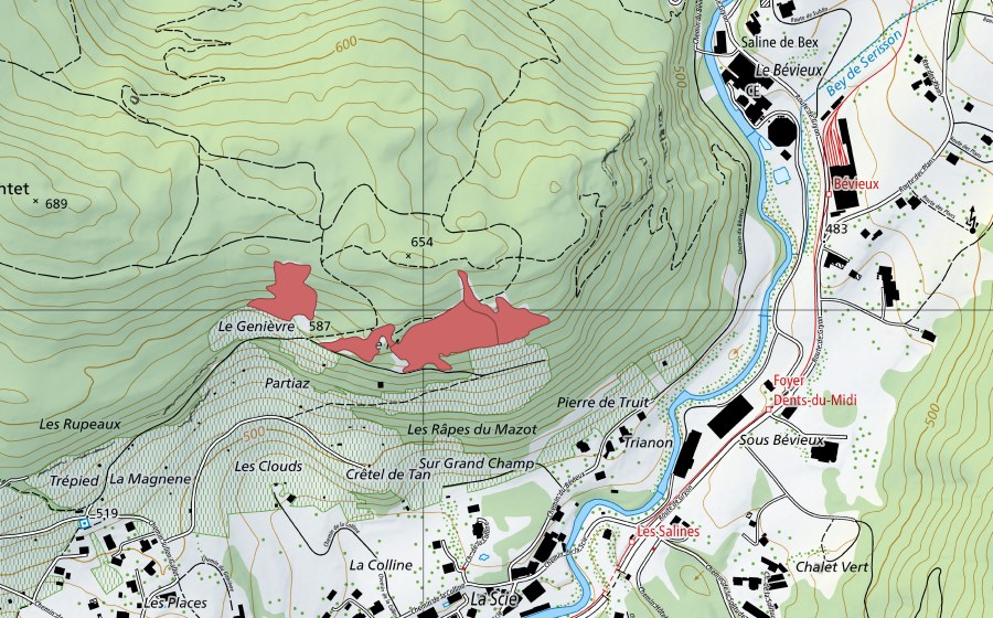 Carte nationale swisstopo avec le périmètre protégé de Genièvre (Prairie sèche)