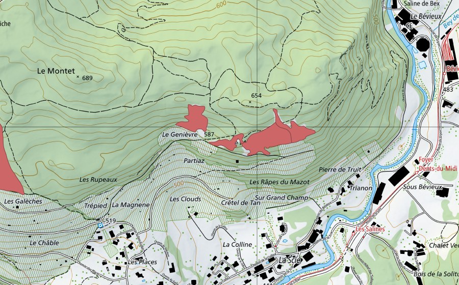 Landeskarte swisstopo mit dem Schutzperimeter von Genièvre (Trockenwiese)