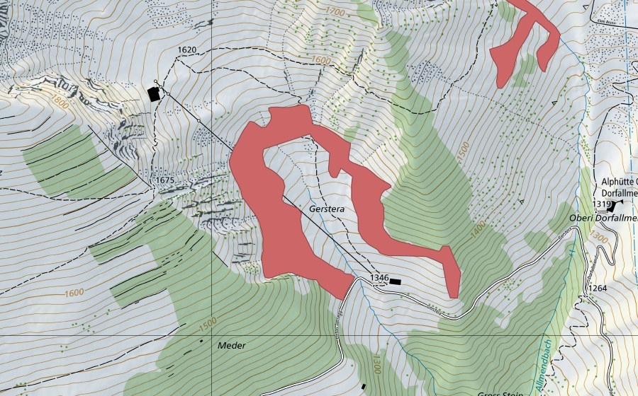 Landeskarte swisstopo mit dem Schutzperimeter von Gerstera (Trockenwiese)
