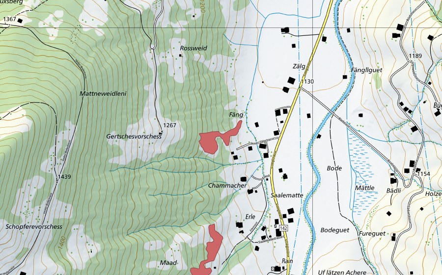 Carte nationale swisstopo avec le périmètre protégé de Gertschesvorschess (Prairie sèche)