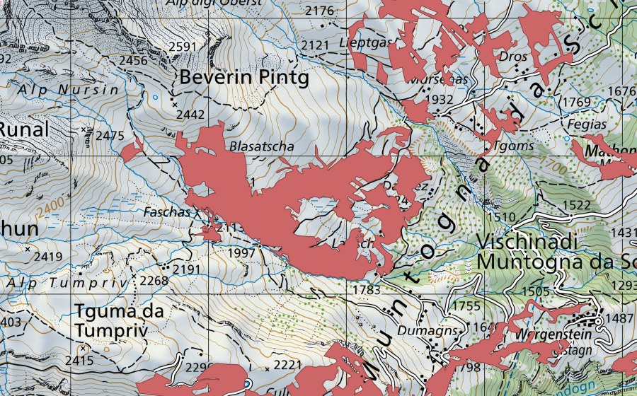 swisstopo national map showing the protected perimeter of Giavaragns (Dry meadow)