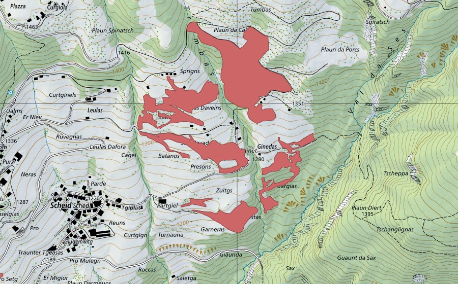 swisstopo national map showing the protected perimeter of Ginedas (Dry meadow)