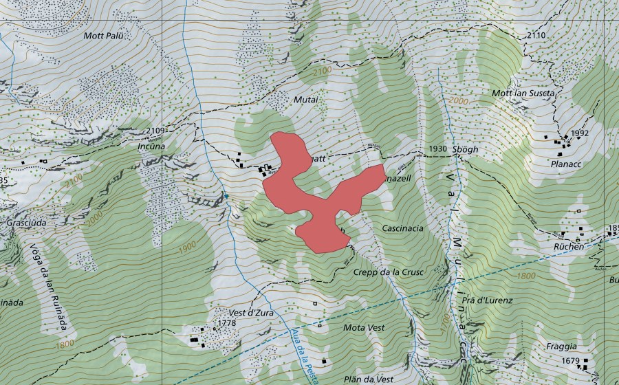 swisstopo national map showing the protected perimeter of Giöch (Dry meadow)