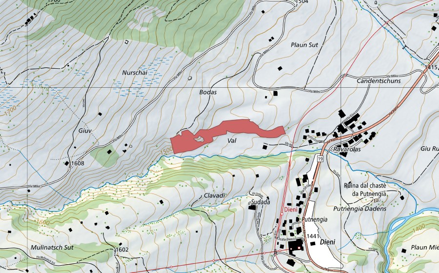 Landeskarte swisstopo mit dem Schutzperimeter von Giuv (Trockenwiese)