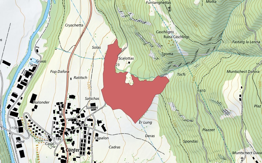 swisstopo national map showing the protected perimeter of Glignia (Dry meadow)