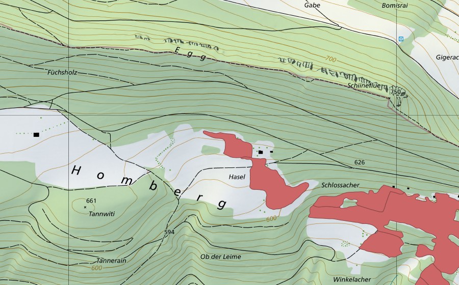 Landeskarte swisstopo mit dem Schutzperimeter von Gmeirüti (Trockenwiese)