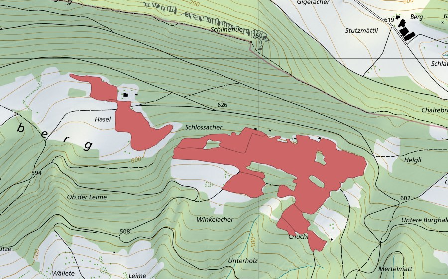 Landeskarte swisstopo mit dem Schutzperimeter von Gmeirüti (Trockenwiese)