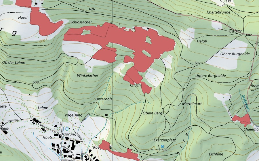 Landeskarte swisstopo mit dem Schutzperimeter von Gmeirüti (Trockenwiese)