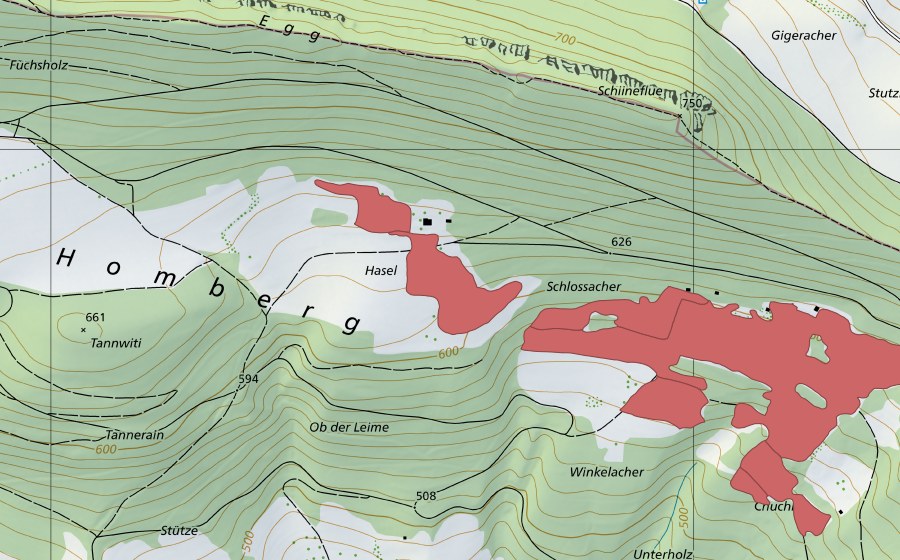 Landeskarte swisstopo mit dem Schutzperimeter von Gmeirüti (Trockenwiese)