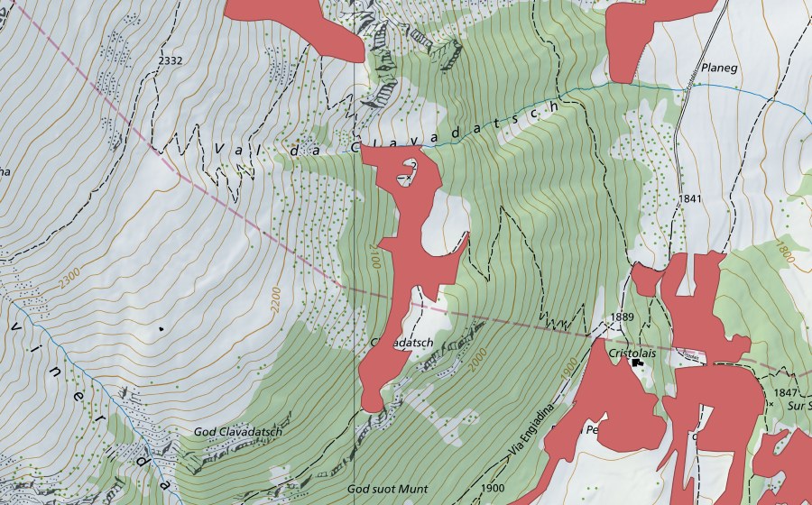 Landeskarte swisstopo mit dem Schutzperimeter von God Clavadatsch (Trockenwiese)