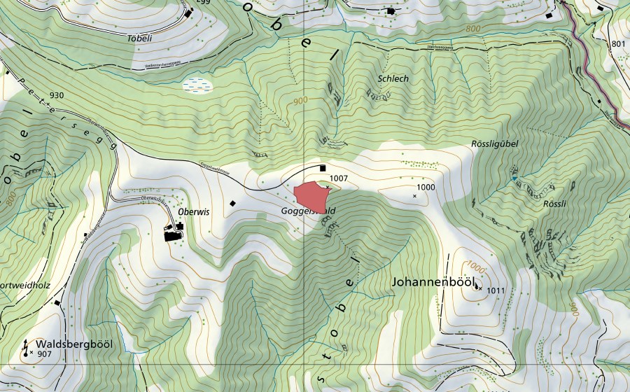 Landeskarte swisstopo mit dem Schutzperimeter von Goggelswald (Trockenwiese)