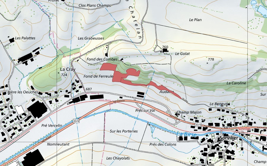Landeskarte swisstopo mit dem Schutzperimeter von Golat (Trockenwiese)