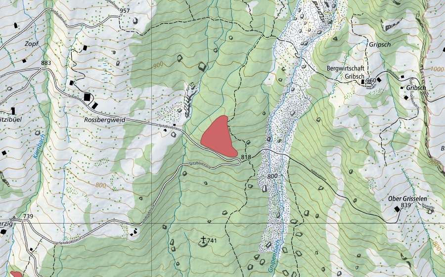 Landeskarte swisstopo mit dem Schutzperimeter von Goldauer Bergsturz (Trockenwiese)