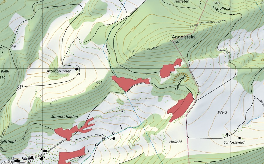 swisstopo national map showing the protected perimeter of Goldloch (Dry meadow)