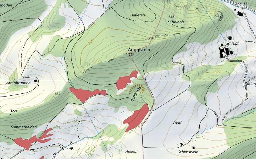 swisstopo national map showing the protected perimeter of Goldloch (Dry meadow)