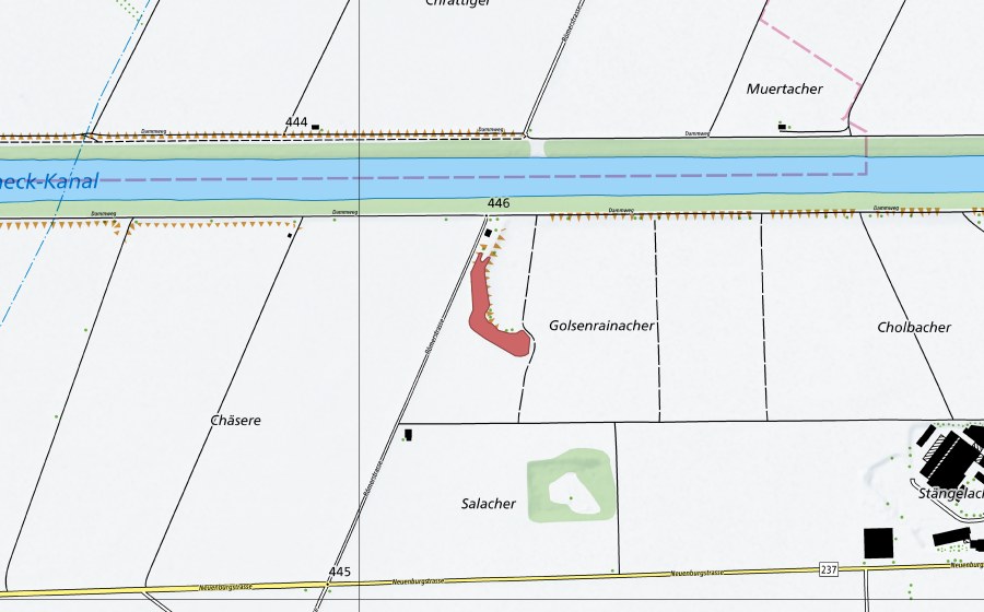 Landeskarte swisstopo mit dem Schutzperimeter von Golsenrainacher (Trockenwiese)