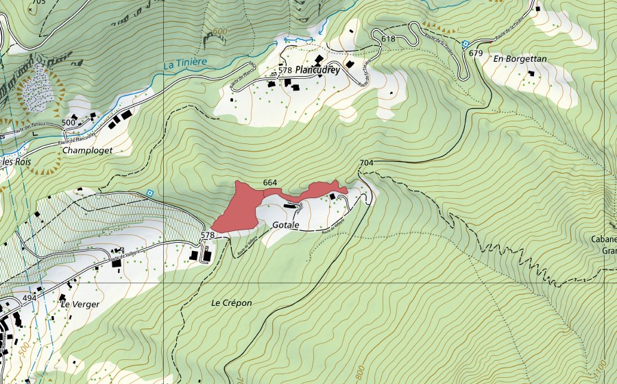 Landeskarte swisstopo mit dem Schutzperimeter von Gotale (Trockenwiese)