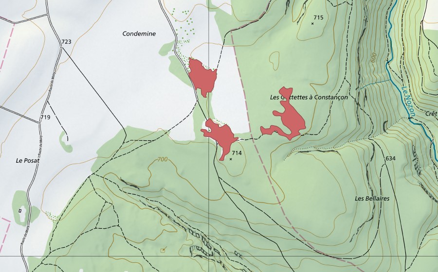 Landeskarte swisstopo mit dem Schutzperimeter von Gottettes (Trockenwiese)