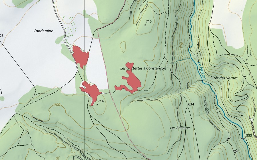 Carte nationale swisstopo avec le périmètre protégé de Gottettes (Prairie sèche)