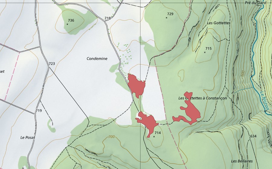 Carte nationale swisstopo avec le périmètre protégé de Gottettes (Prairie sèche)