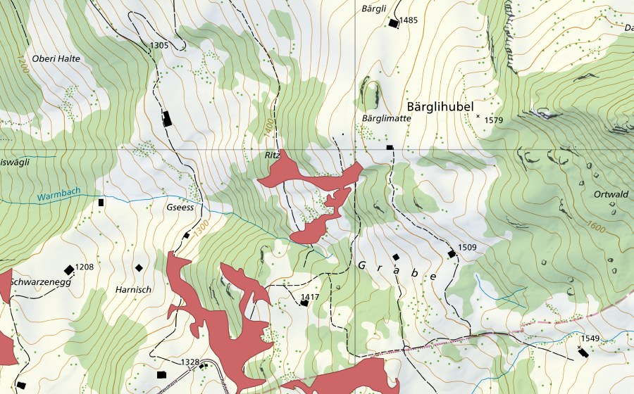 swisstopo national map showing the protected perimeter of Grabe (Dry meadow)