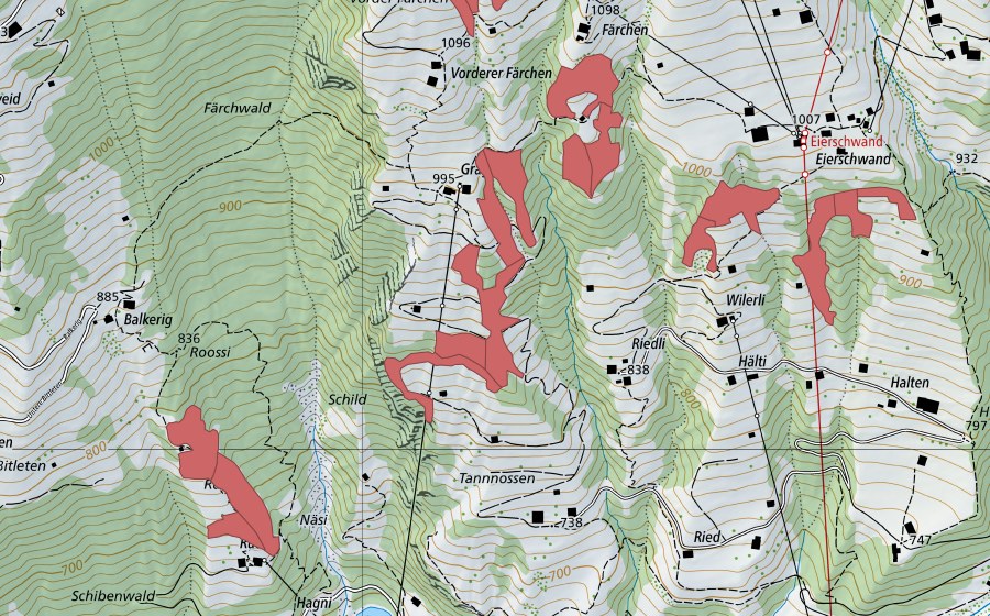 Landeskarte swisstopo mit dem Schutzperimeter von Graggi (Trockenwiese)