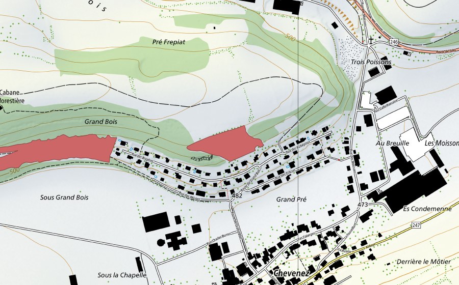 Carte nationale swisstopo avec le périmètre protégé de Grand Bois (Prairie sèche)